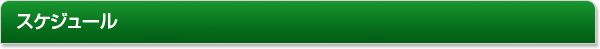 スケジュール